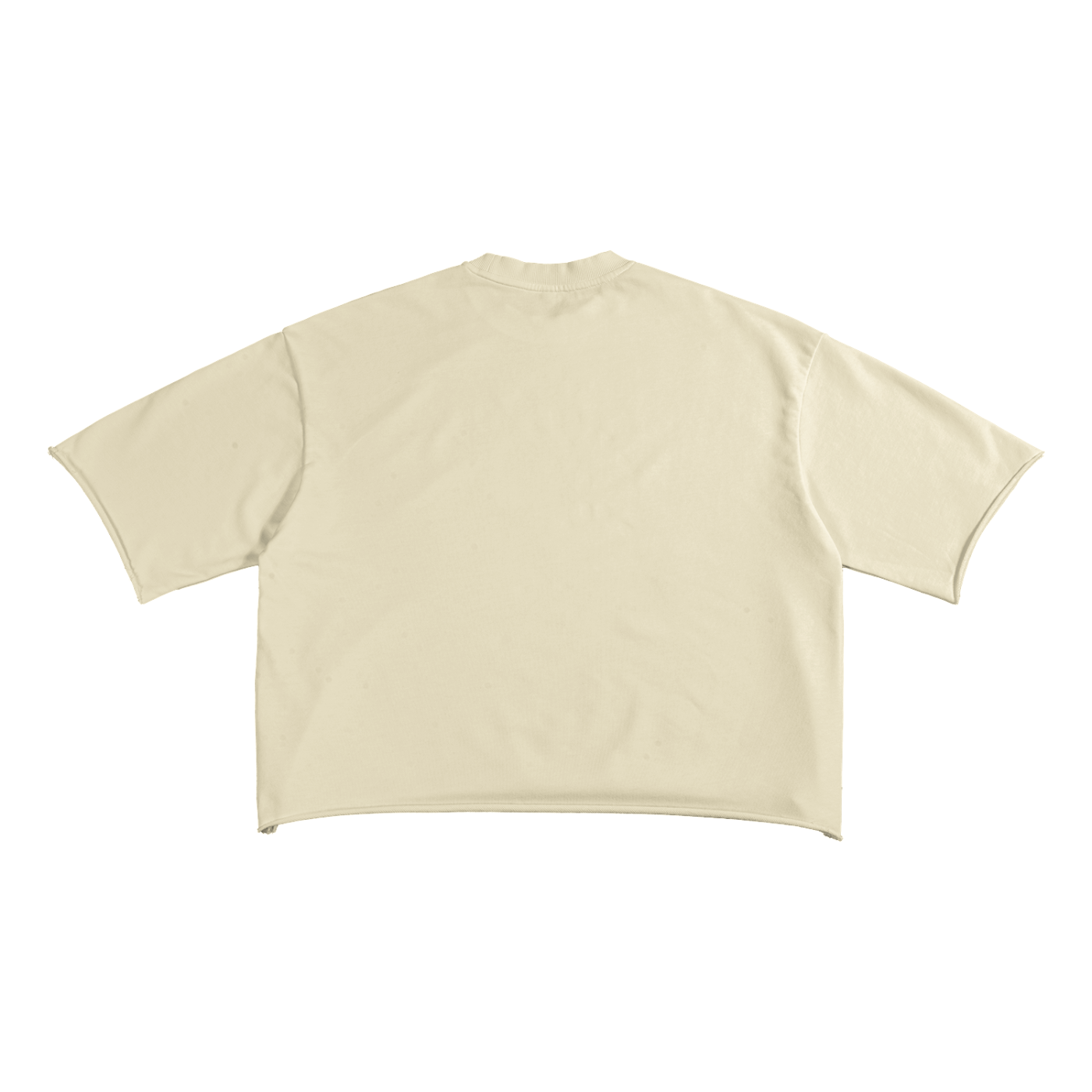 Ambitious Dreams "80's Fly" French Terry Raw Edge T-Shirt