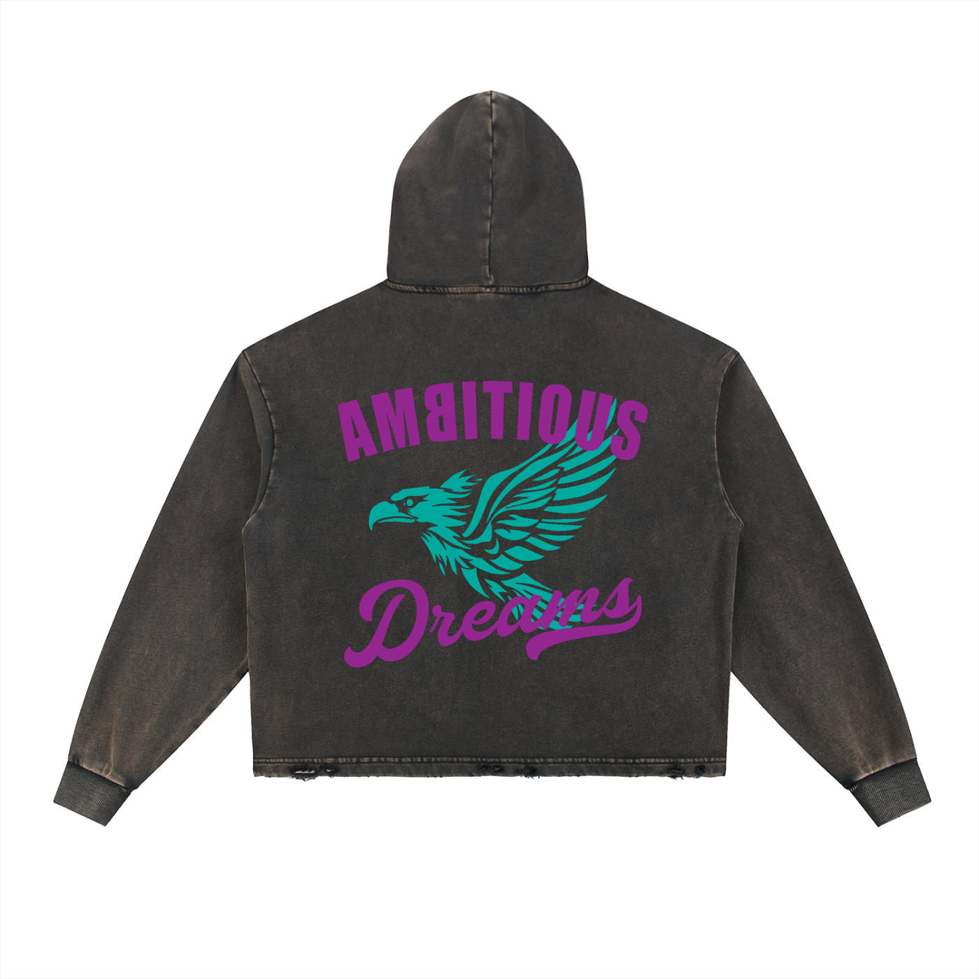 Ambitious Dreams Vintage Washed Frayed-Hem Hoodie (Purple/Turqoise)