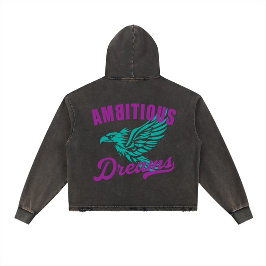 Ambitious Dreams Vintage Washed Frayed-Hem Hoodie (Purple/Turqoise)