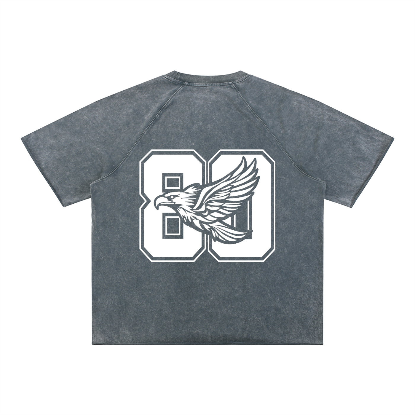 Ambitious Dreams " 80's Fly " Unisex Mineral Wash Raw Edge T-Shirt