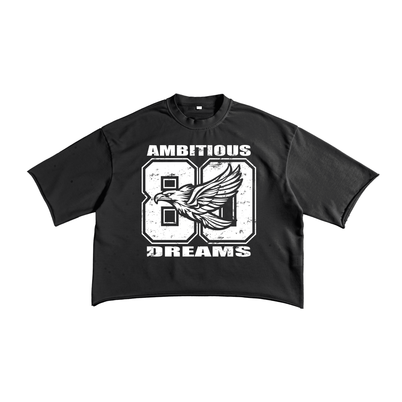 Ambitious Dreams "80's Fly" French Terry Raw Edge T-Shirt