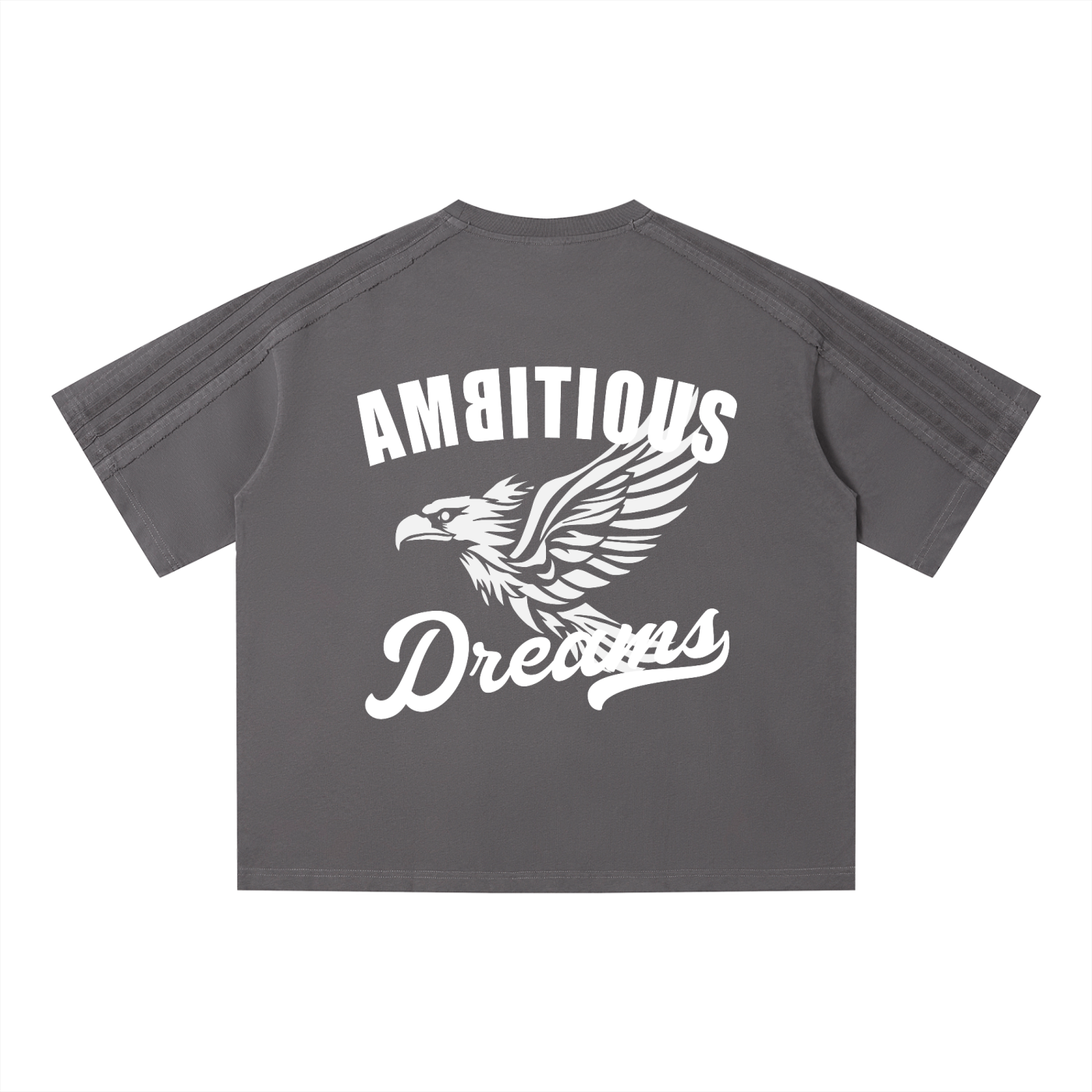 Ambitious Dreams Unisex Vintage Wash Boxy T-Shirt (White)