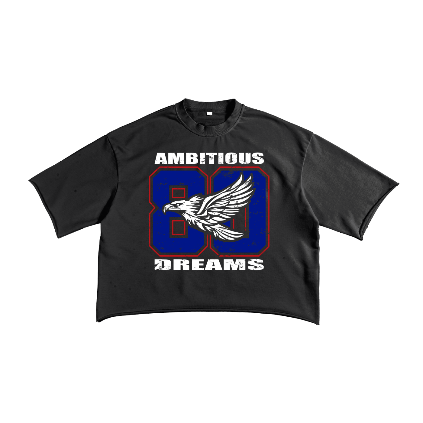 Ambitious Dreams "80's Fly" French Terry Raw Edge T-Shirt