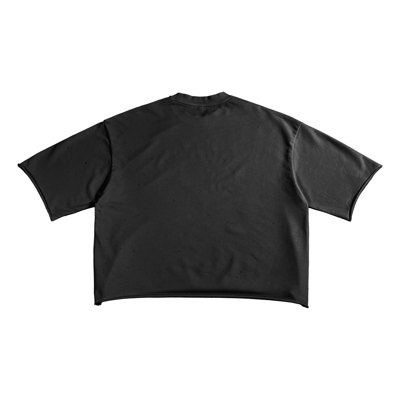 Ambitious Dreams "80's Fly" French Terry Raw Edge T-Shirt