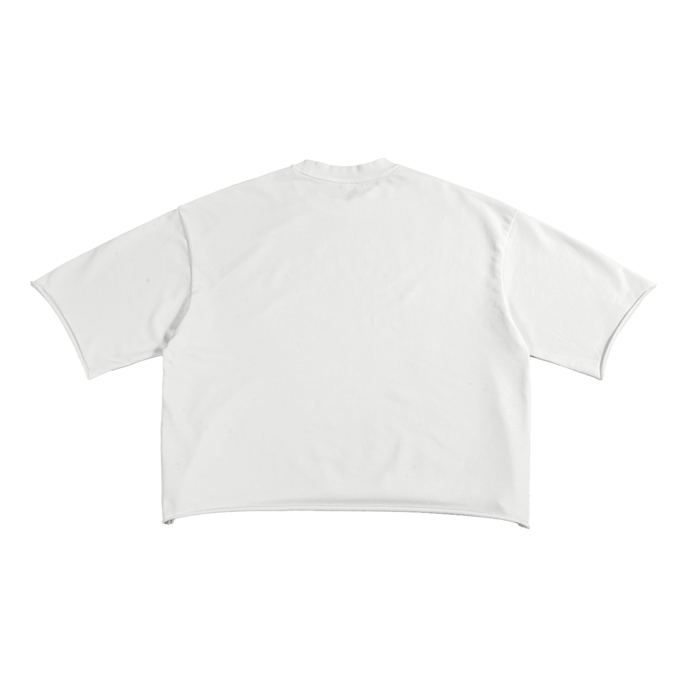 Ambitious Dreams "80's Fly" French Terry Raw Edge T-Shirt